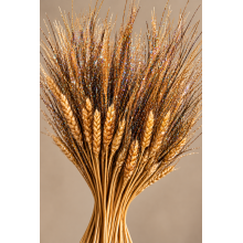 °°°GRANO BAFFO NATURALE IRIDEGR 400