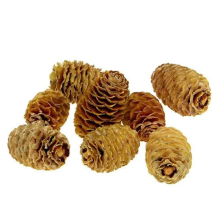 SABULOSUM X 250 GR CREMA