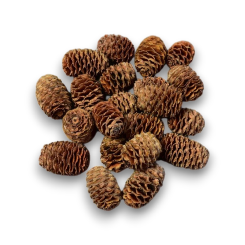 SABULOSUM X 250 GR NATURALE