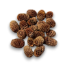 SABULOSUM X 250 GR NATURALE