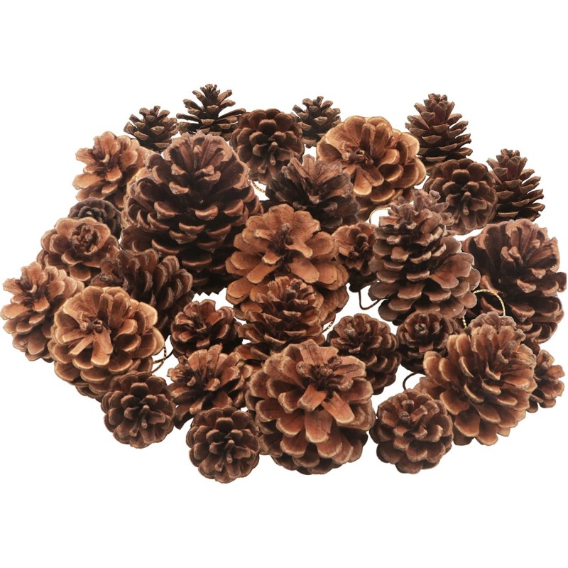 °°°PIGNE NATURAL GR.250