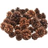 °°°PIGNE NATURAL GR.250