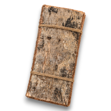 CORTECCIA NATURALE CM. 30X20 GR.500