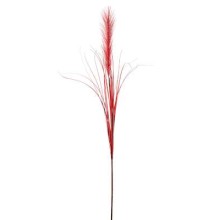 RAMO PAMPAS  CM.110 BROWN