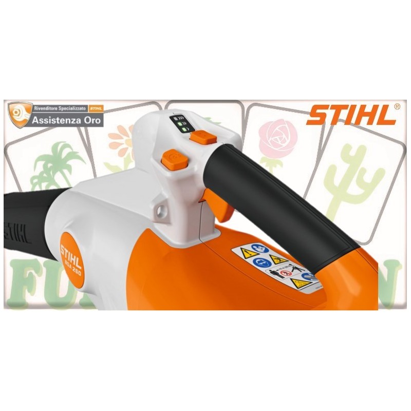 BGA 250.0 SOFFIATORE A BATTERIA