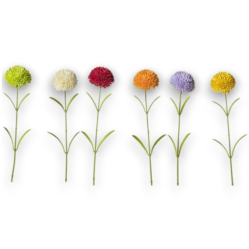 ZINNIA E ALLIUM