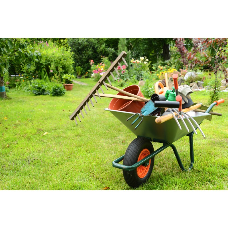 GIARDINAGGIO-PIANTE-FIORI