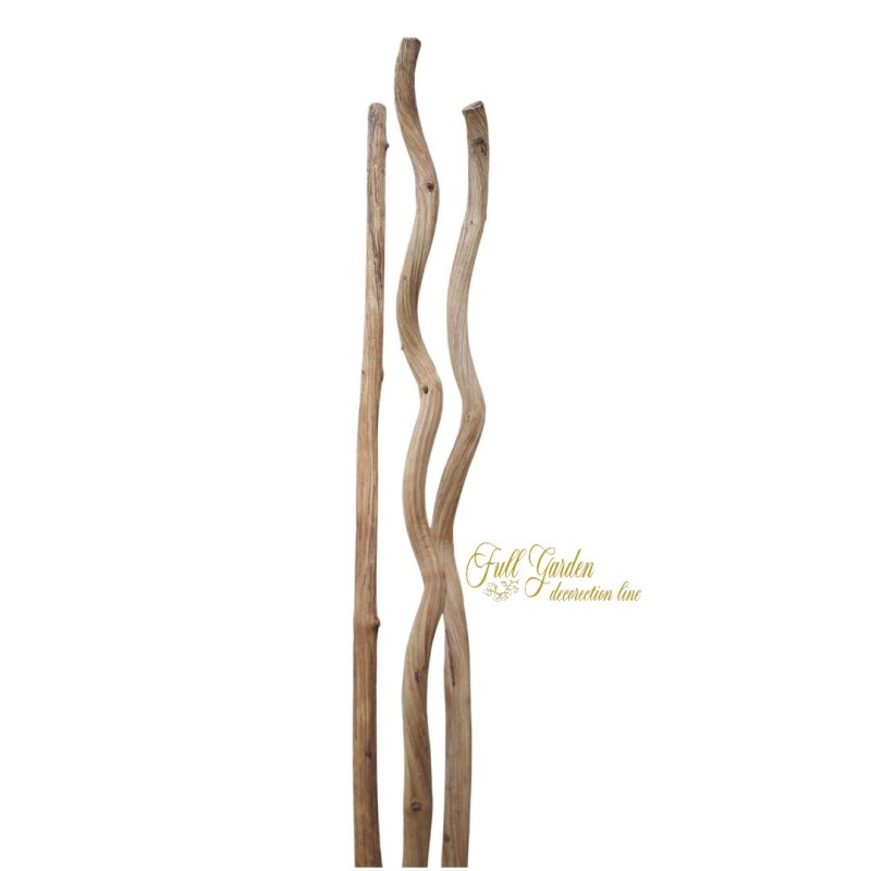 TRONCHI RAMI E CANNE