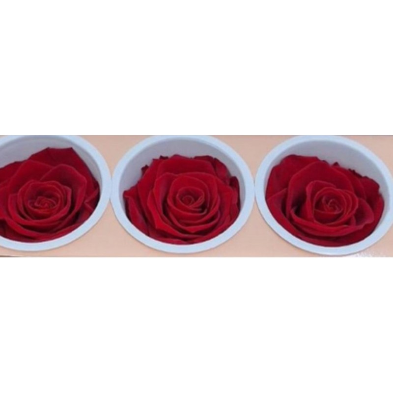 ROSE STABILIZZATE X3